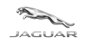 Open Jaguar Vehicle